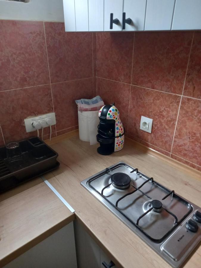Stan U Maslinama Apartment Подгорица Екстериор снимка